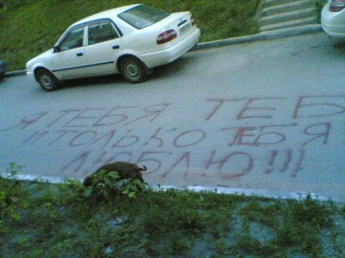 "Горькое" признание в любви (3 фото)