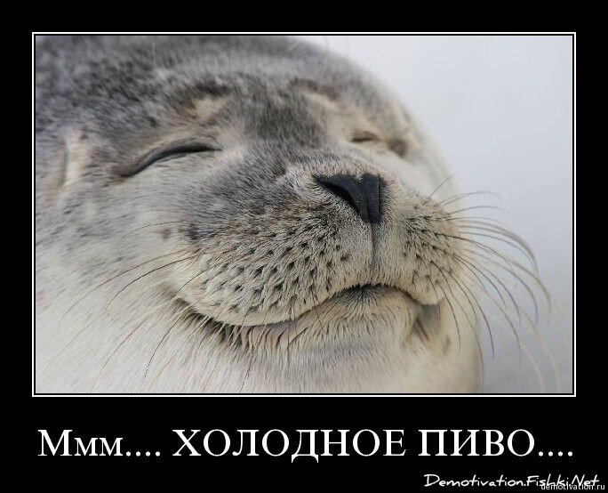 Смешной демотиватор от zubrilov за 05.02.2009 №54275