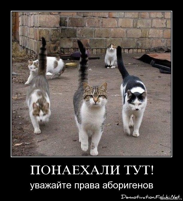 Смешной демотиватор от zubrilov за 19.02.2009 №54307