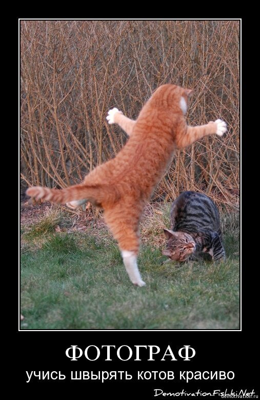 Смешной демотиватор от zubrilov за 19.02.2009 №54312