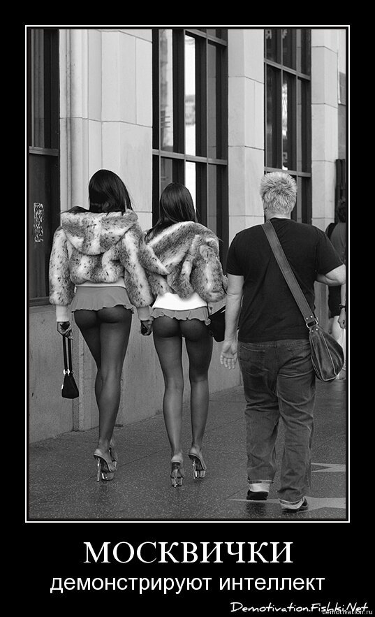 Смешной демотиватор от zubrilov за 19.02.2009 №54313