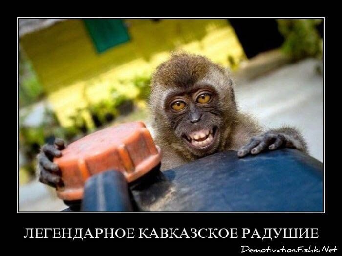 Демотиватор