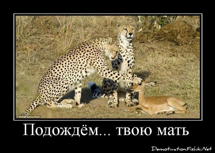 Смешной демотиватор от zubrilov за 15.06.2010 №54394