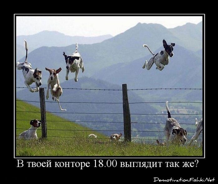 Смешной демотиватор от zubrilov за 15.06.2010 №54402
