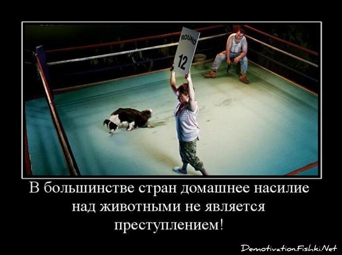 Смешной демотиватор от zubrilov за 15.06.2010 №54406