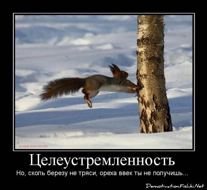 Смешной демотиватор от zubrilov за 15.06.2010 №54407