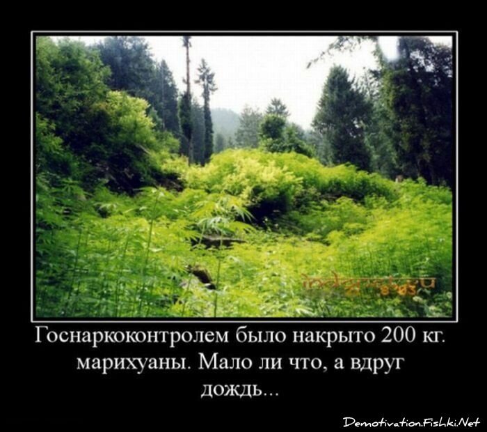 Демотиватор