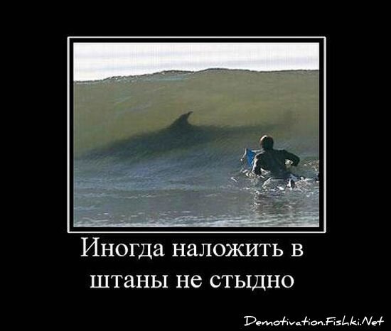 Демотиватор