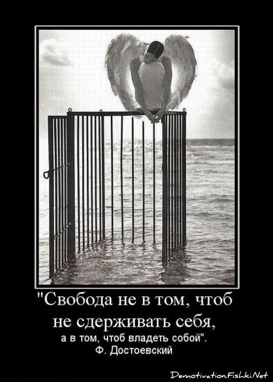 Смешной демотиватор от zubrilov за 15.06.2010 №54419