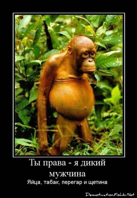 Смешной демотиватор от zubrilov за 15.06.2010 №54426