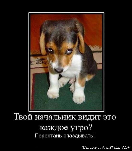 Демотиватор