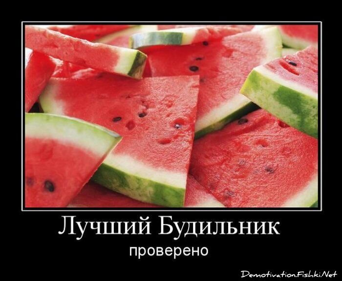 Демотиватор