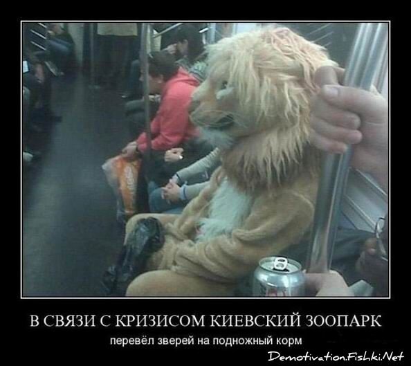 Демотиватор