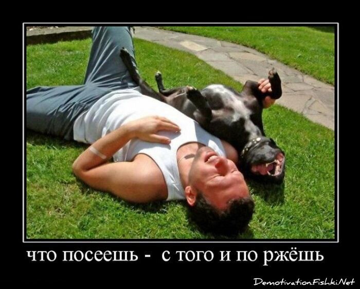 Смешной демотиватор от zubrilov за 15.06.2010 №54513