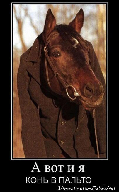 Демотиватор