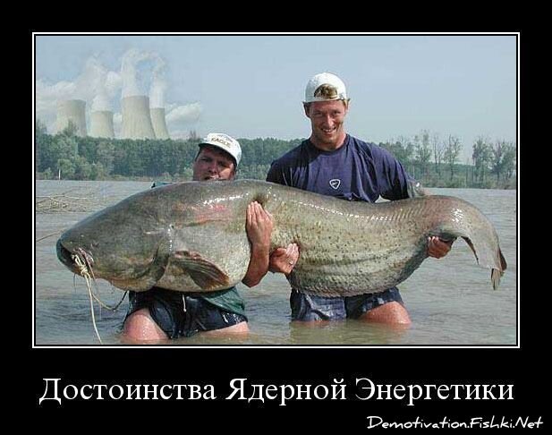 Смешной демотиватор от zubrilov за 15.06.2010 №54526