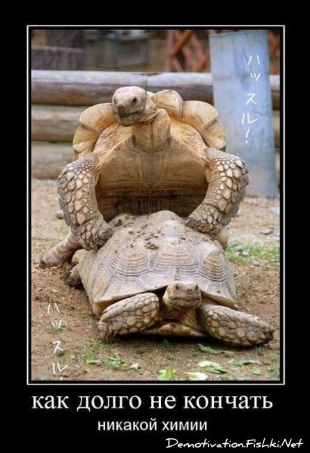 Демотиватор