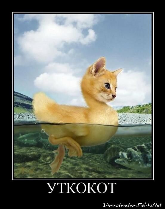 Смешной демотиватор от zubrilov за 15.06.2010 №54536