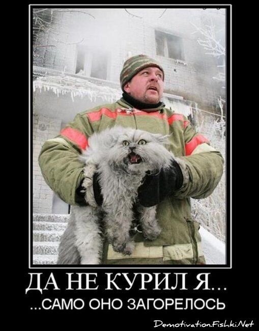 Демотиватор