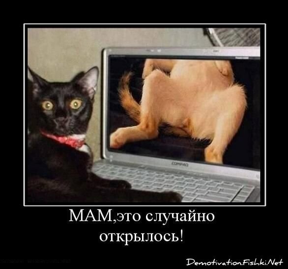 Смешной демотиватор от zubrilov за 15.06.2010 №54591