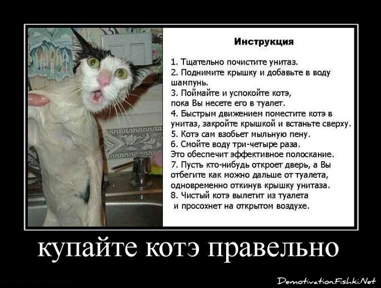 Смешной демотиватор от zubrilov за 15.06.2010 №54599