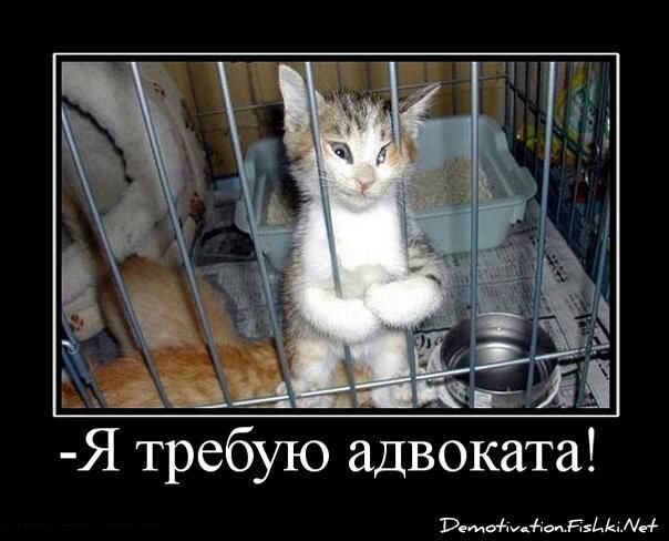 Смешной демотиватор от zubrilov за 15.06.2010 №54607