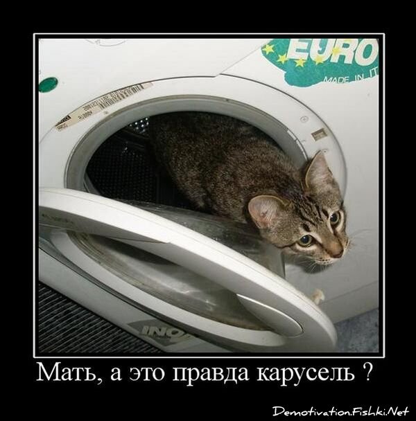 Демотиватор