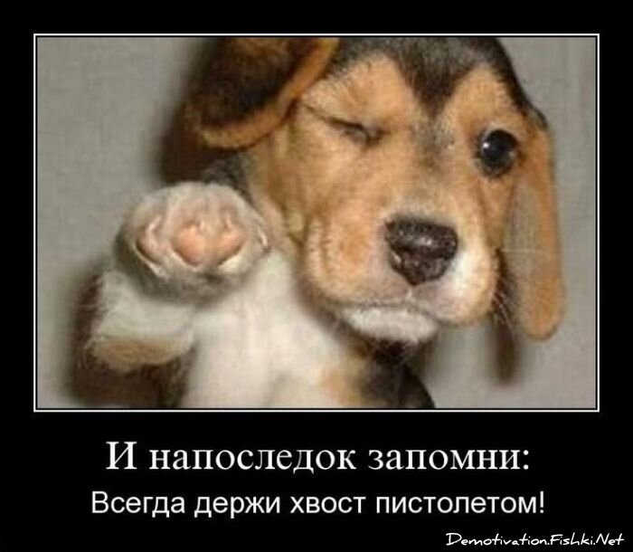 Смешной демотиватор от zubrilov за 15.06.2010 №54618
