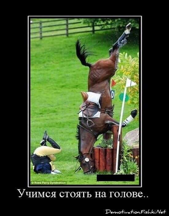 Смешной демотиватор от zubrilov за 15.06.2010 №54619