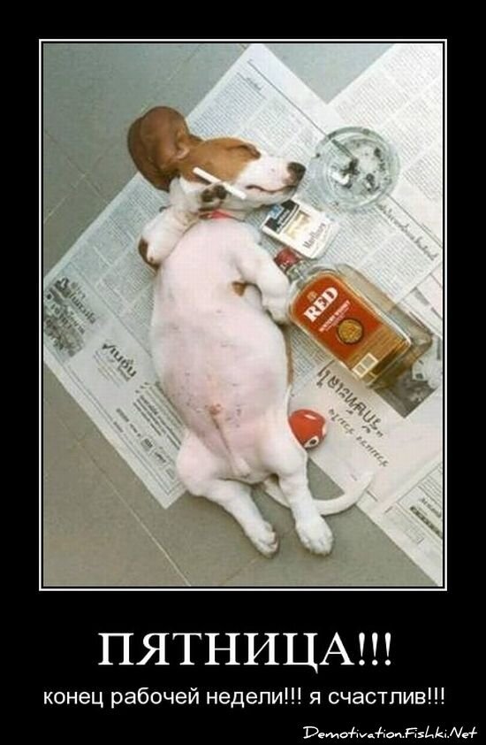 Демотиватор