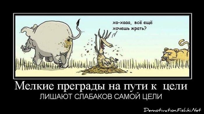 Демотиватор