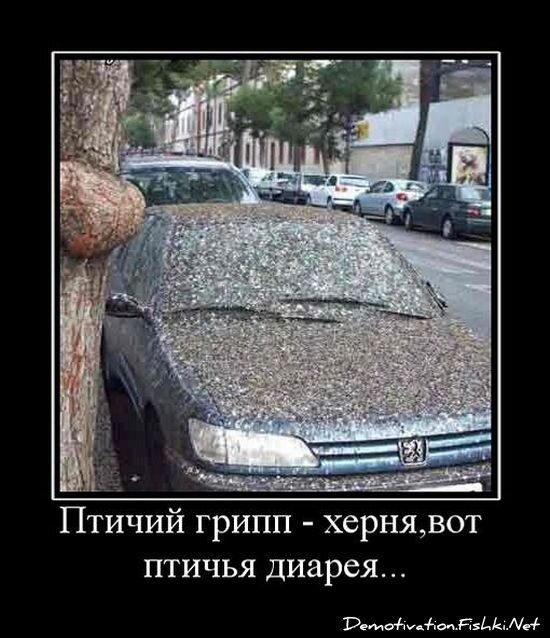 Демотиватор