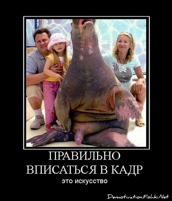 Демотиватор