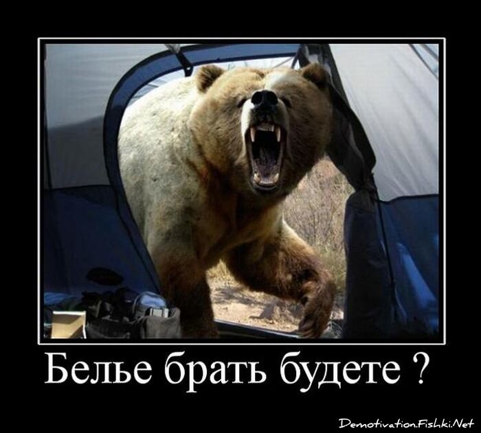 Смешной демотиватор от zubrilov за 15.06.2010 №54637