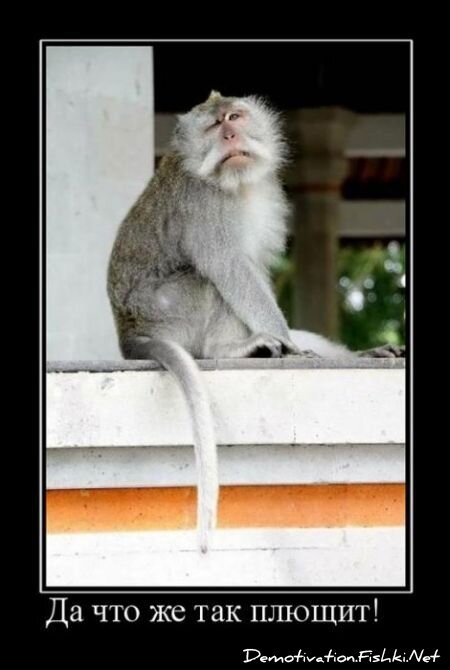 Смешной демотиватор от zubrilov за 15.06.2010 №54647
