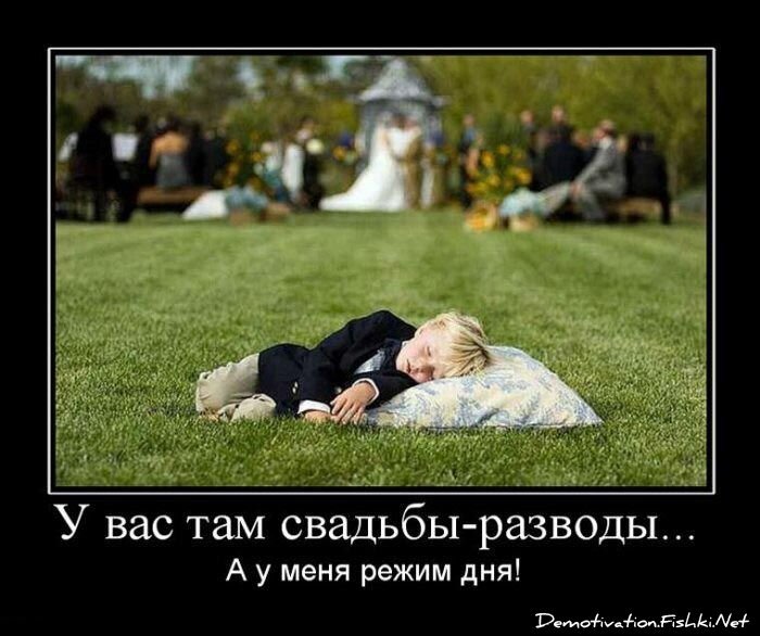 Демотиватор