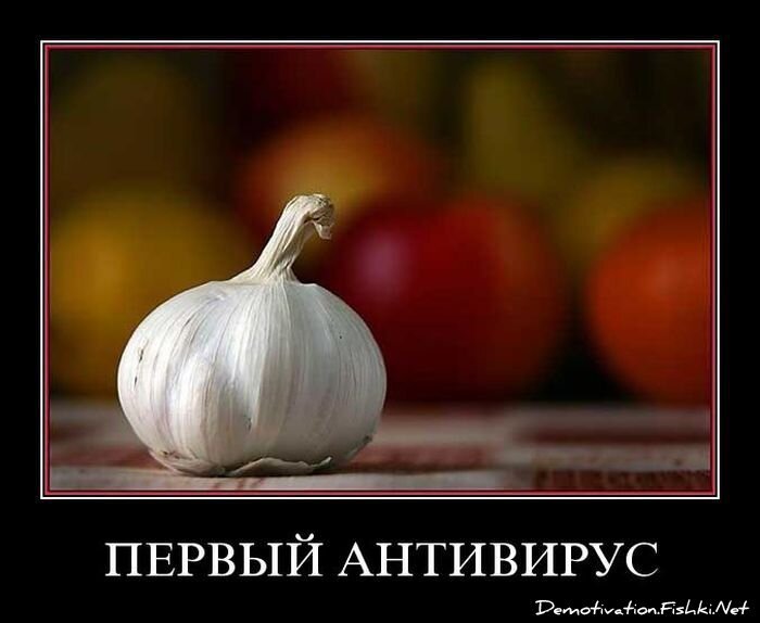 Смешной демотиватор от zubrilov за 15.06.2010 №54668