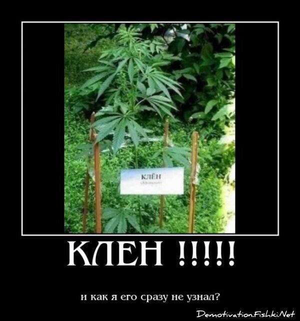 Смешной демотиватор от zubrilov за 15.06.2010 №54679