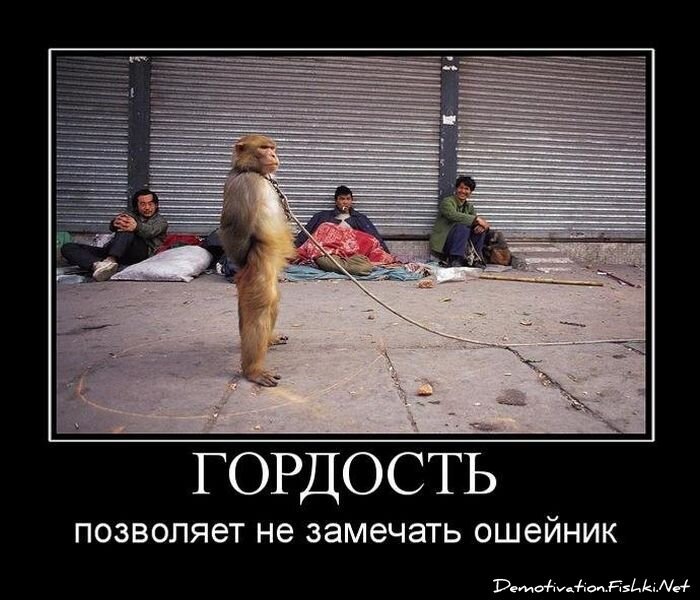 Смешной демотиватор от zubrilov за 15.06.2010 №54680
