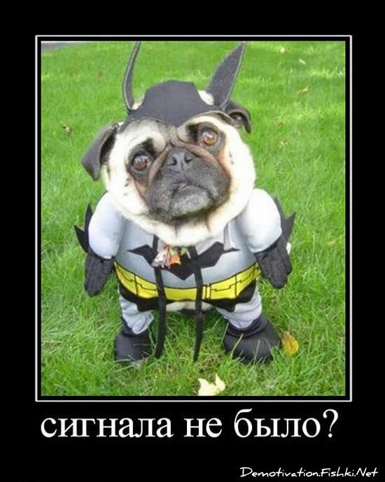 Смешной демотиватор от zubrilov за 15.06.2010 №54698