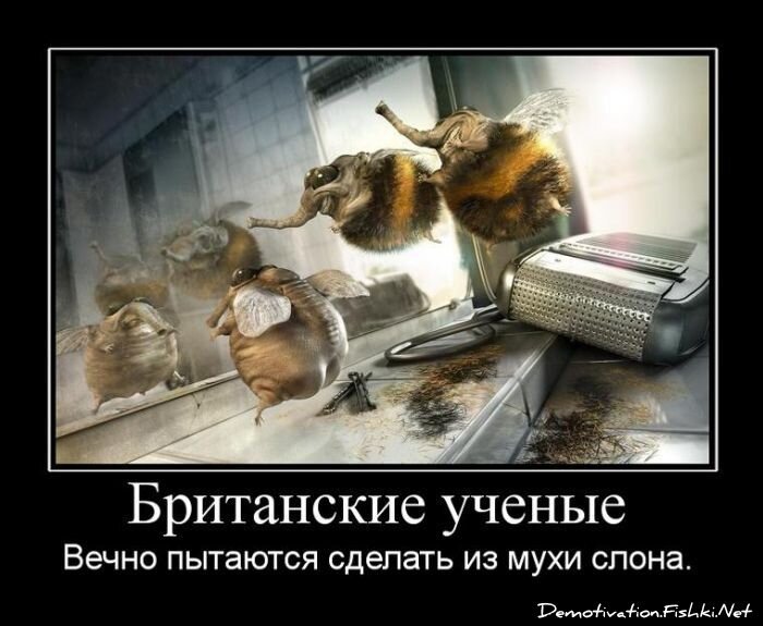 Демотиватор