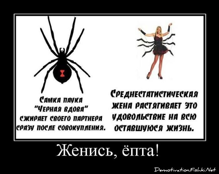 Демотиватор