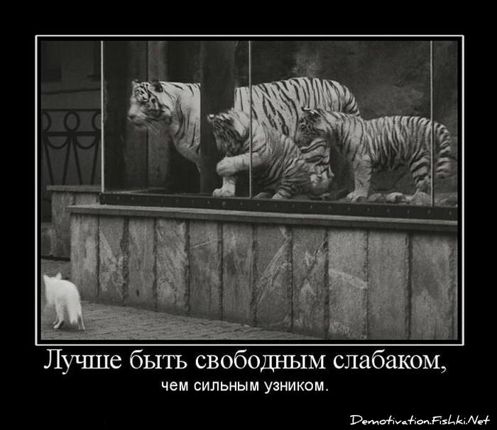 Смешной демотиватор от zubrilov за 15.06.2010 №54723