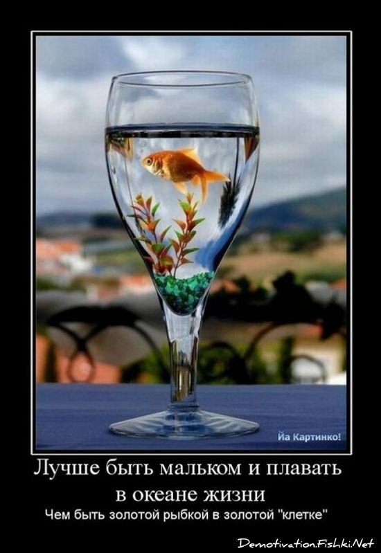 Смешной демотиватор от zubrilov за 15.06.2010 №54735