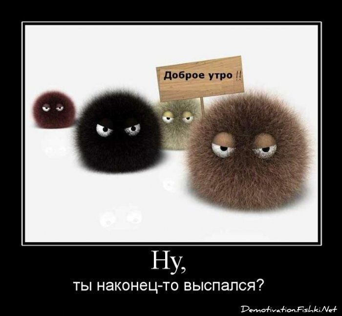 Смешной демотиватор от zubrilov за 15.06.2010 №54740