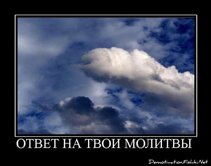 Демотиватор