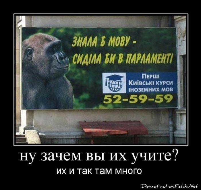 Смешной демотиватор от zubrilov за 15.06.2010 №54747