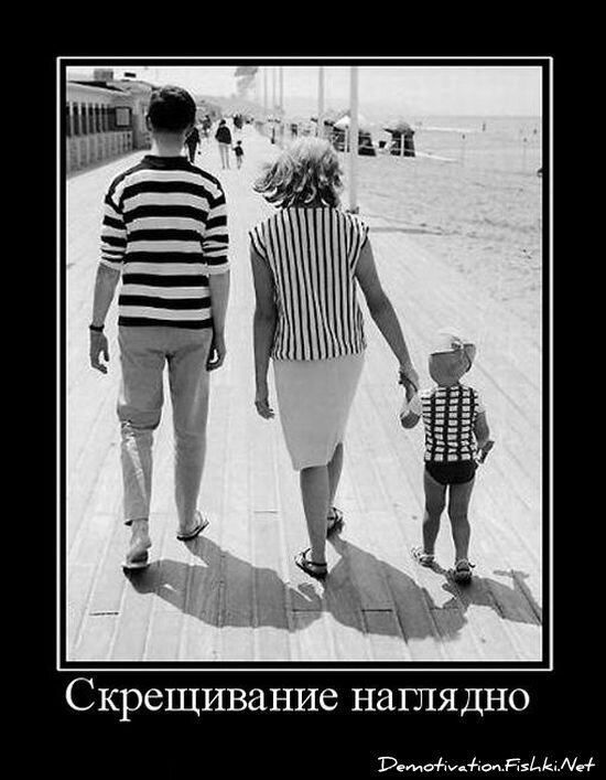 Смешной демотиватор от zubrilov за 15.06.2010 №54766