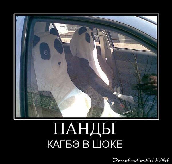 Смешной демотиватор от zubrilov за 15.06.2010 №54767