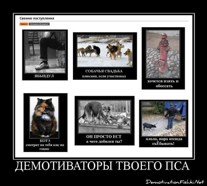 Демотиватор